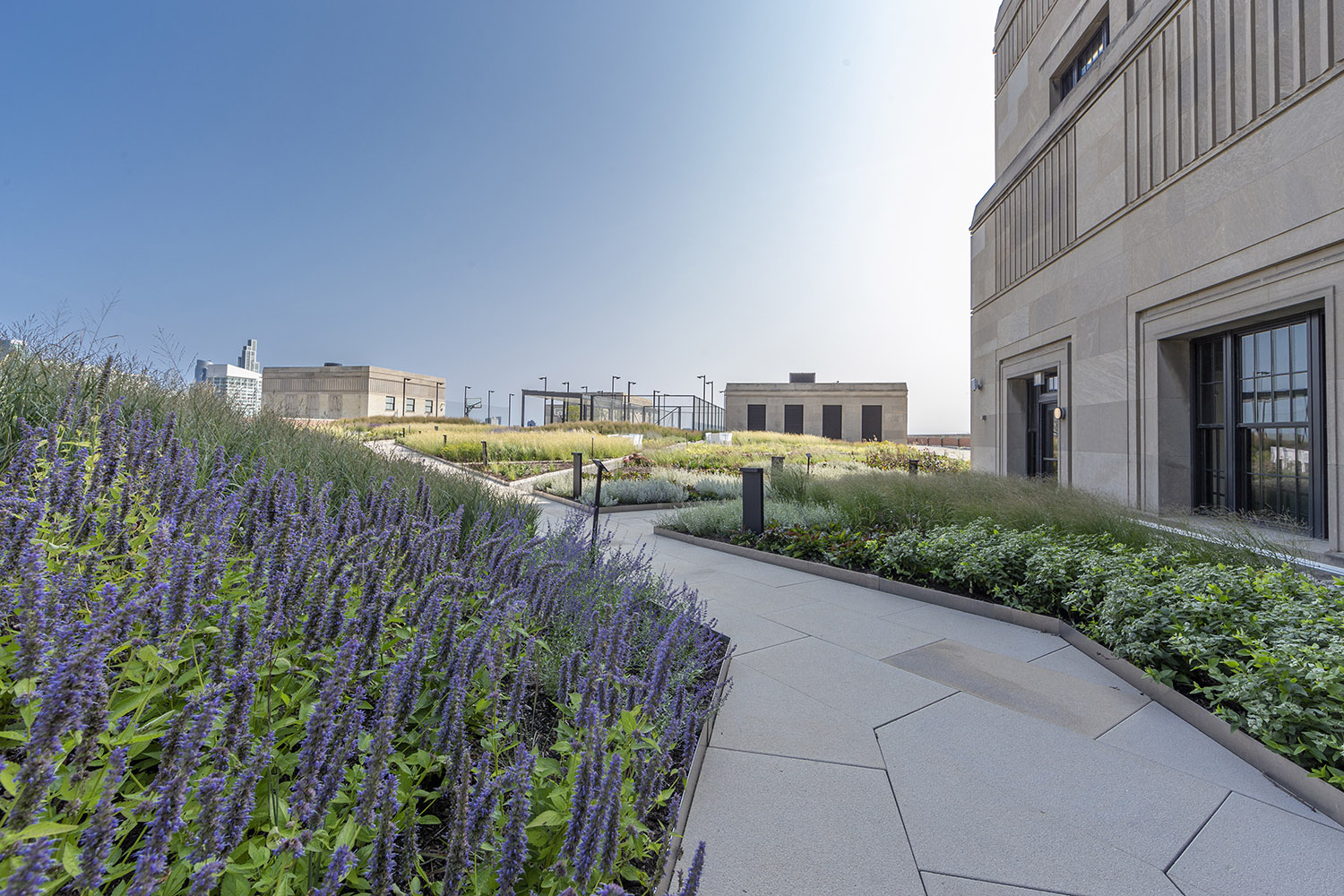The Old Post Office Rooftop Park. Image by The Telos Group