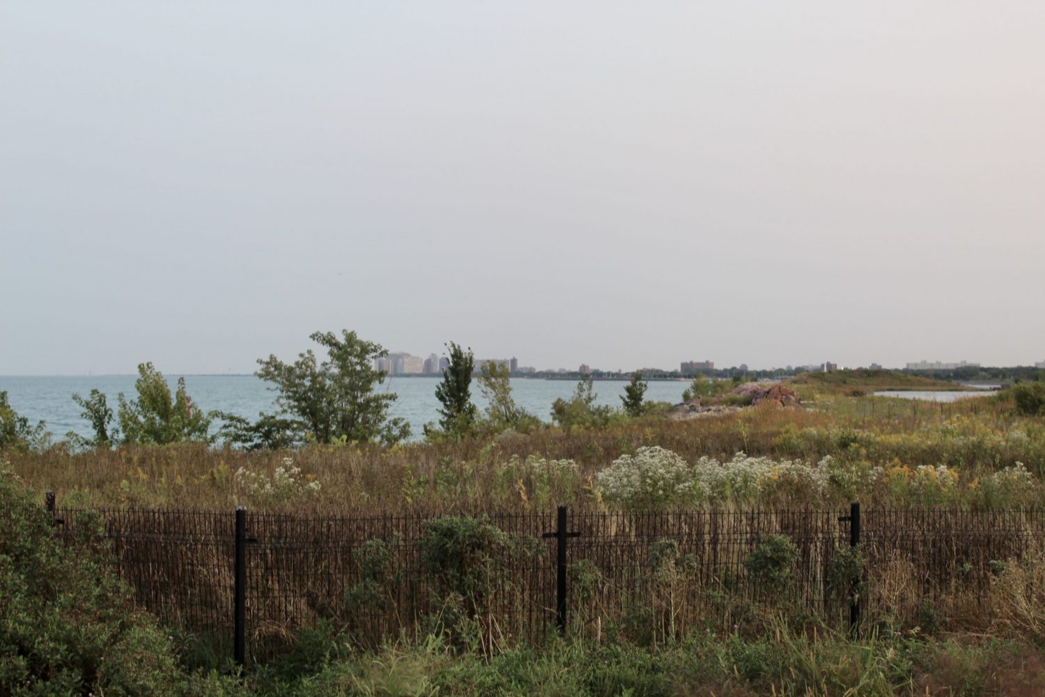 Northerly Island's east side