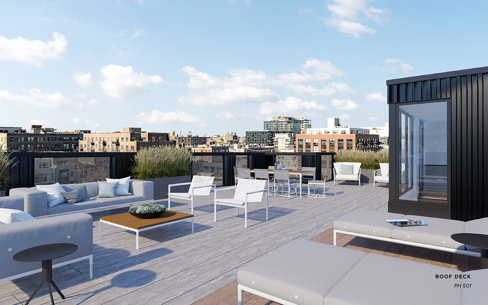 15 N Elizabeth Street penthouse rooftop terrace