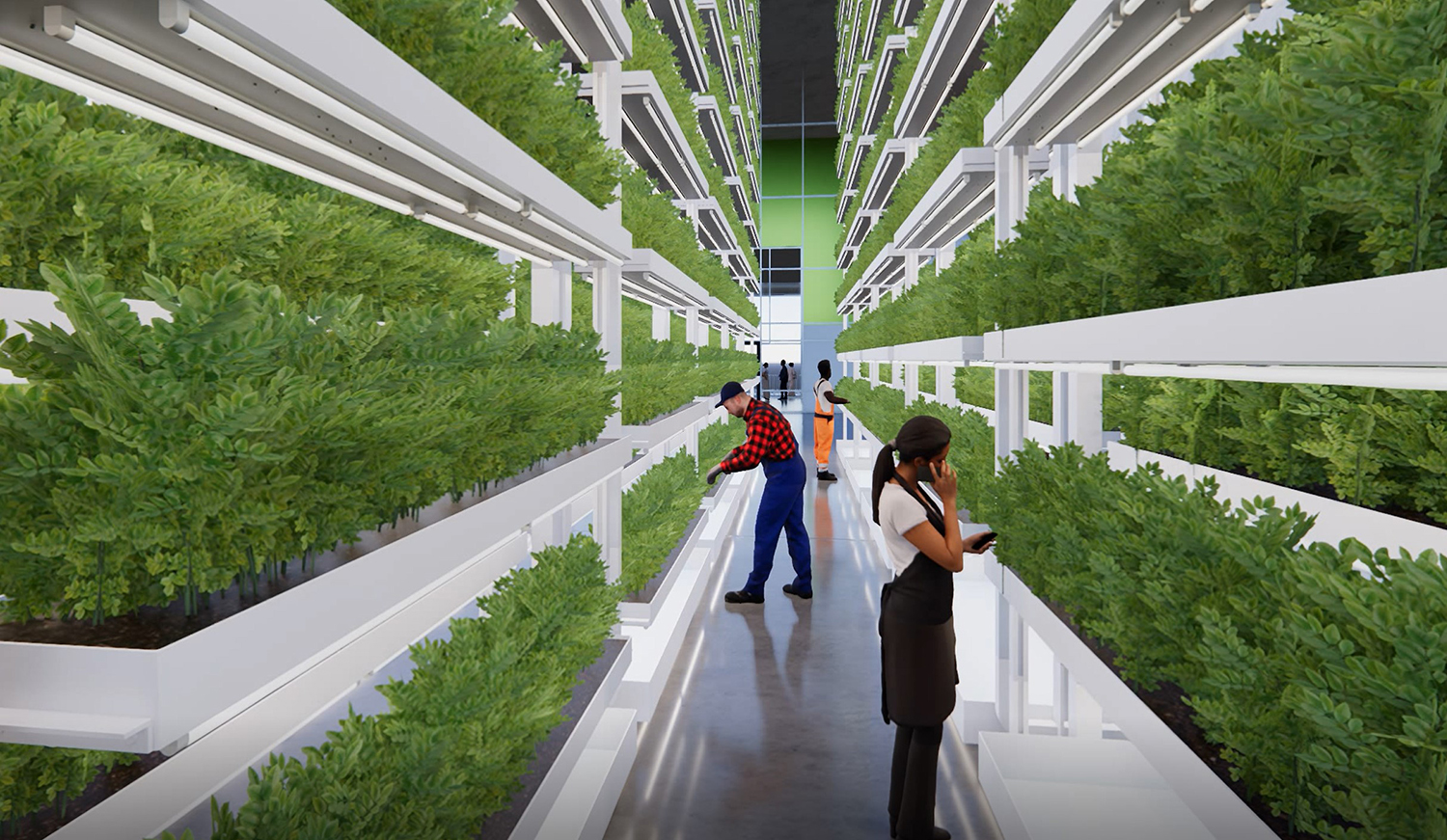 Vertical Farm at The Invert Chicago. Rendering by The Invert Chicago