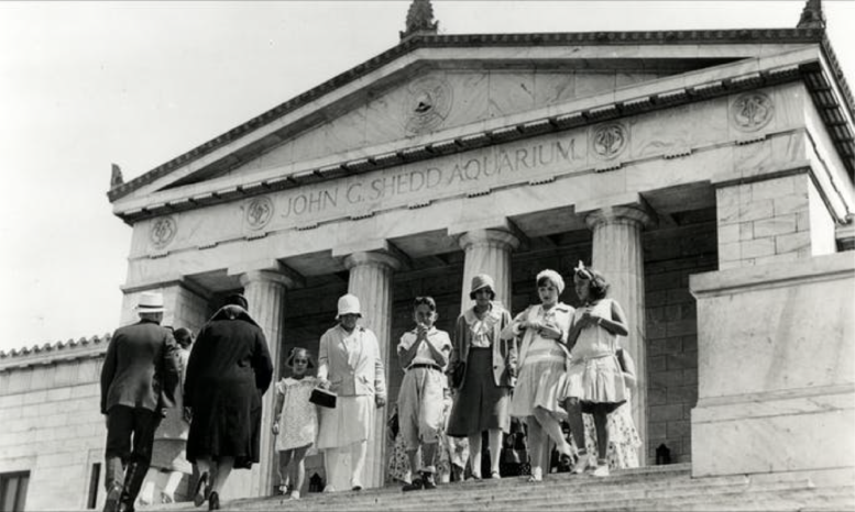 Shedd Aquarium Announces Multi Year Renovation Chicago YIMBY   Shedd Aquarium 01 777x466 