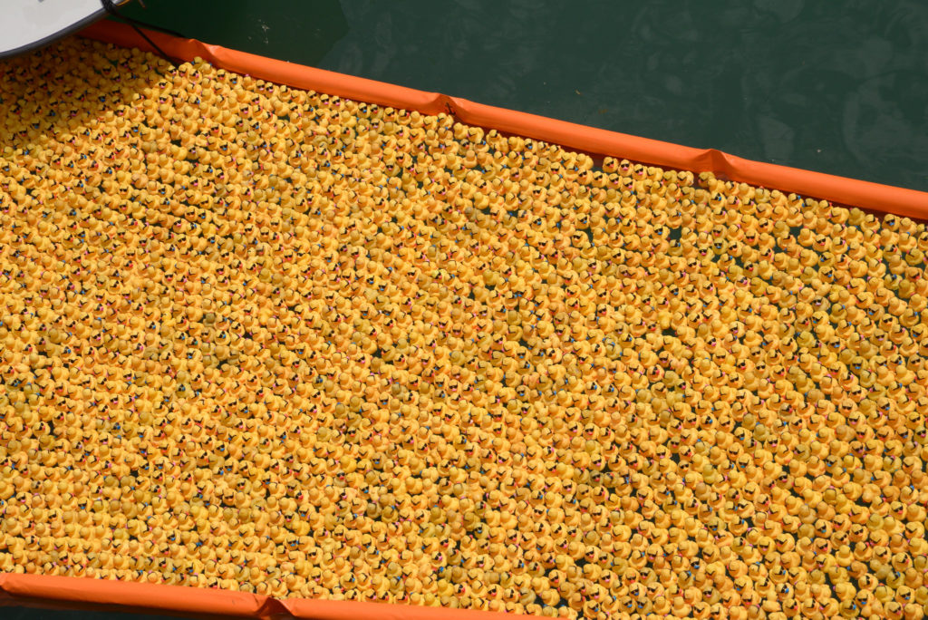 The Chicago Duck Derby Returns to The Loop Chicago YIMBY