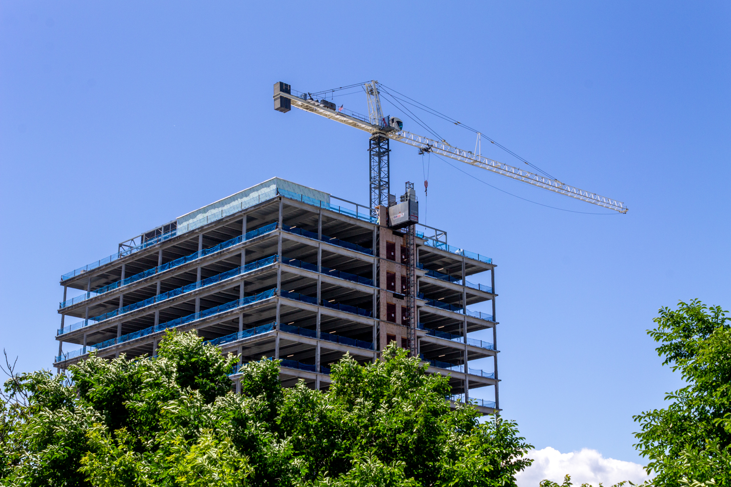 Hyde Park Labs tower crane