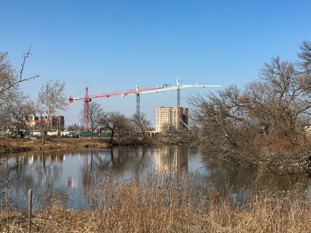 Three tower cranes at the Obama Presidential Center in March 2023