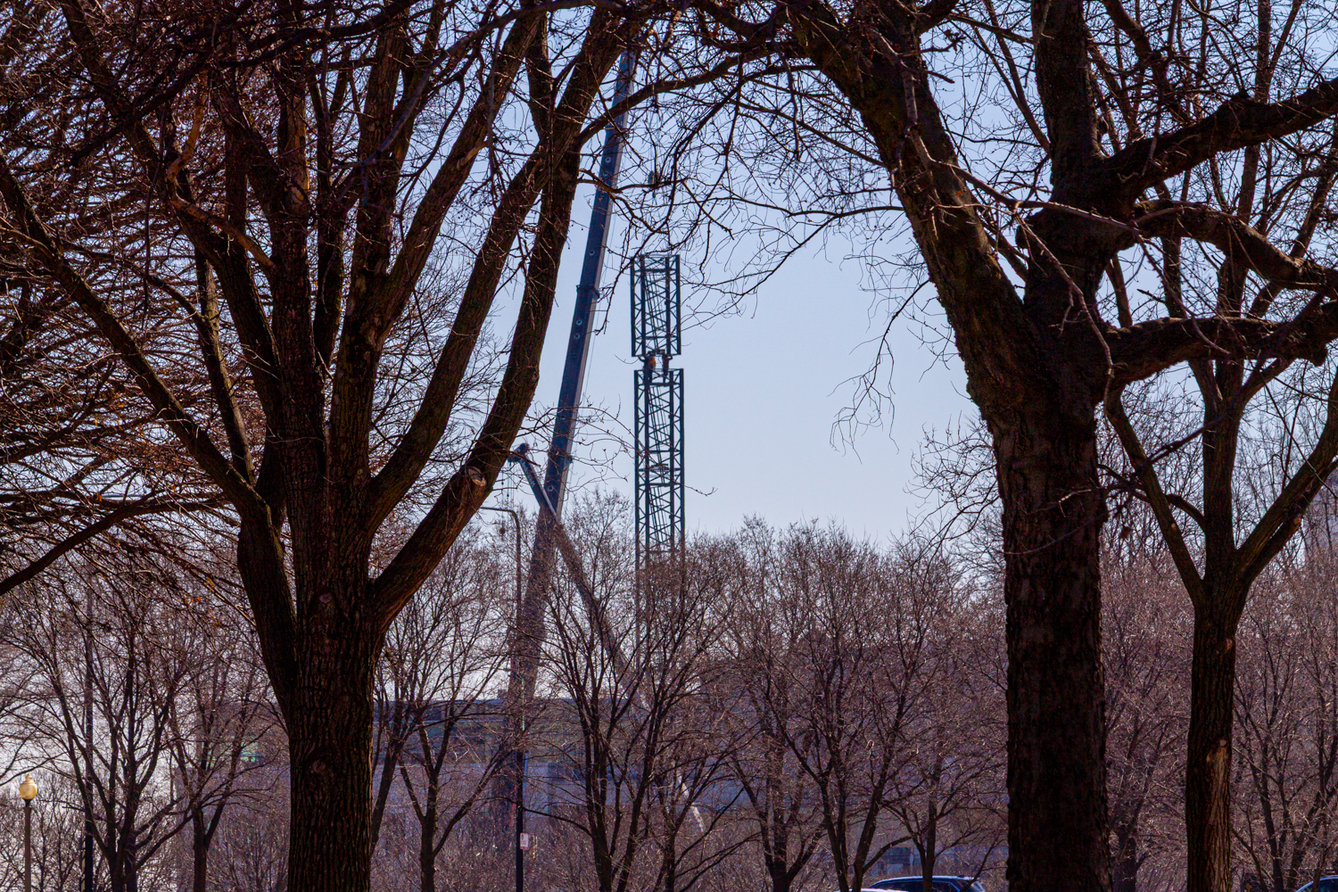 Shedd Aquarium tower crane assembly