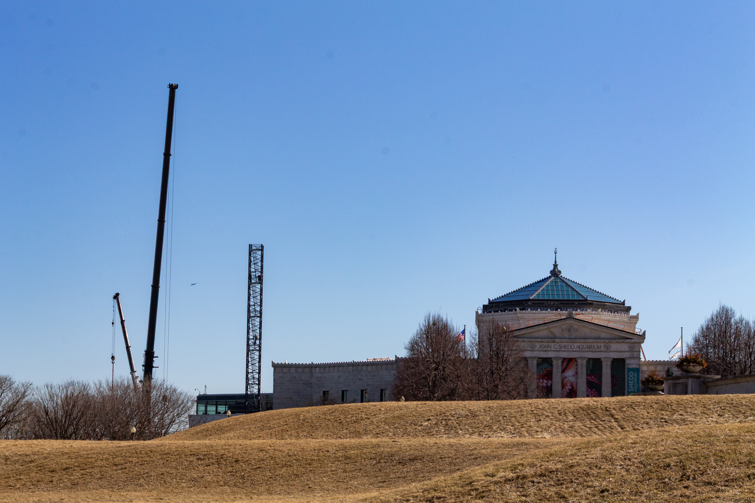 Shedd Aquarium tower crane assembly