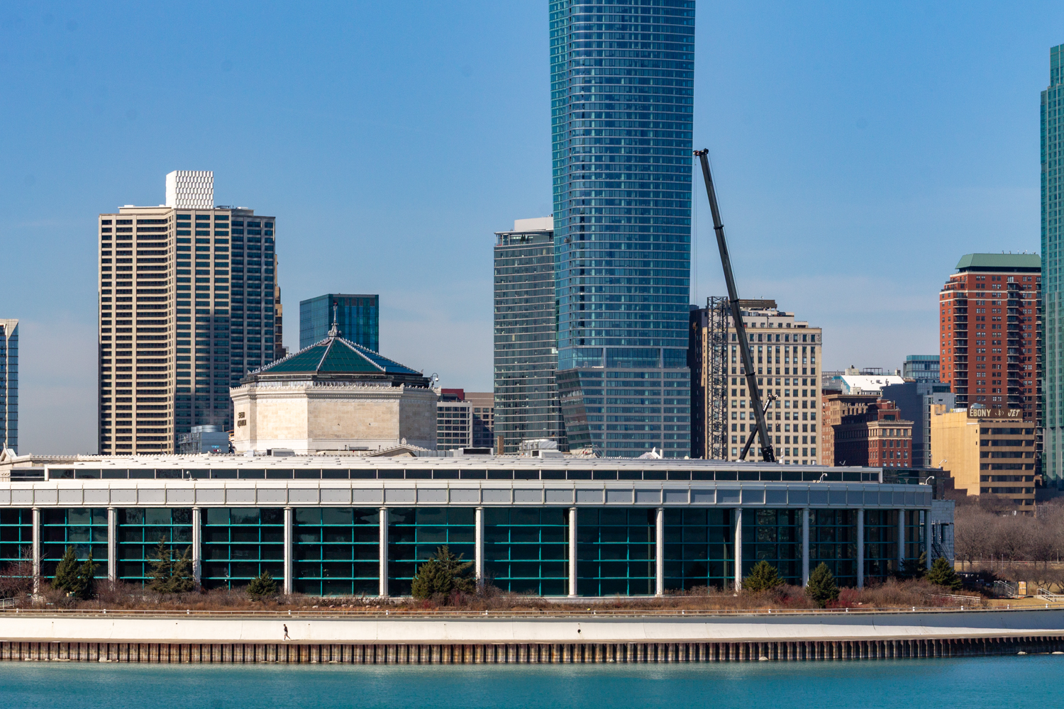 Shedd Aquarium tower crane assembly