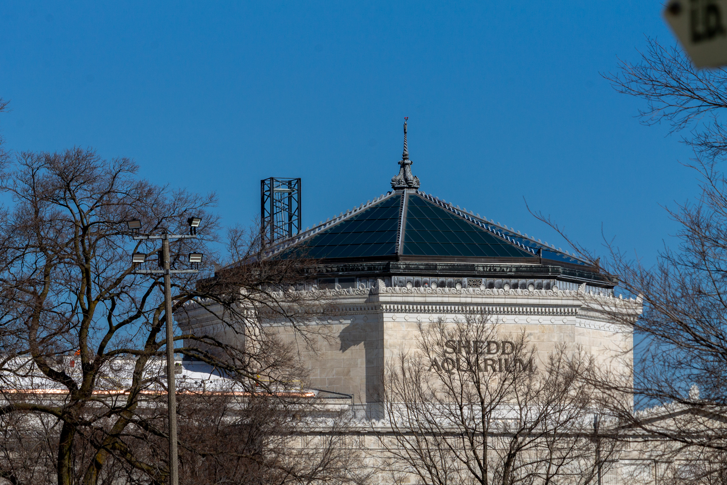 Shedd Aquarium tower crane assembly