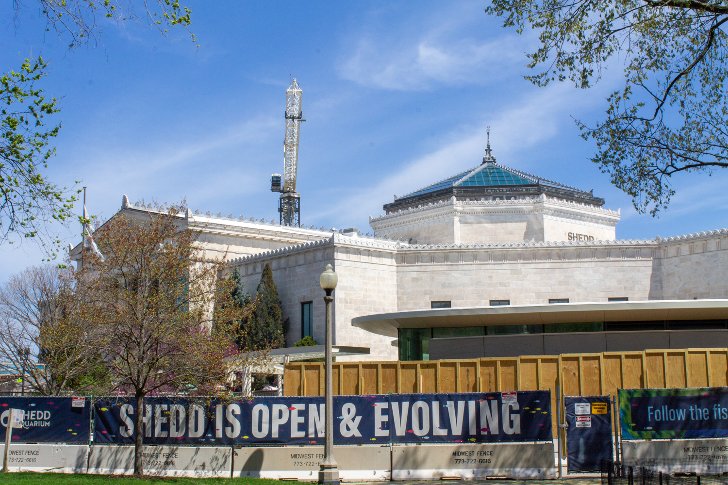 Shedd Aquarium renovations
