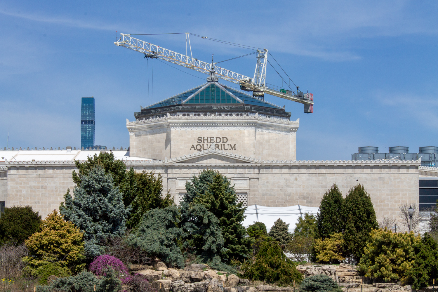Shedd Aquarium renovations