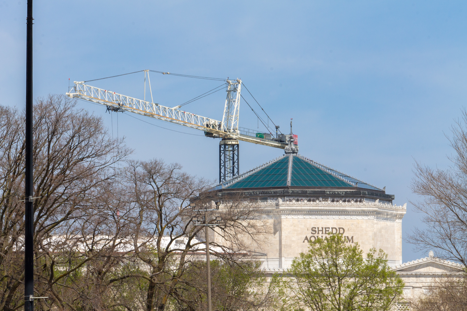 Shedd Aquarium renovations