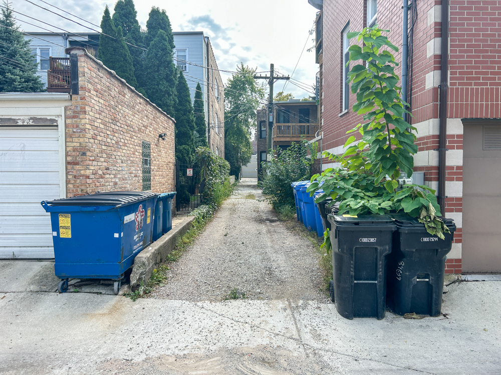 Residential proposal for 3909 North Ashland Avenue in Lake View