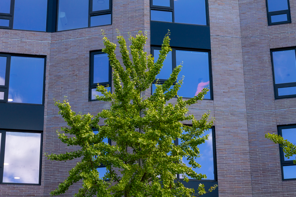 1237 North California Avenue construction update