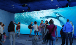 Shedd Aquarium theater renovation permit