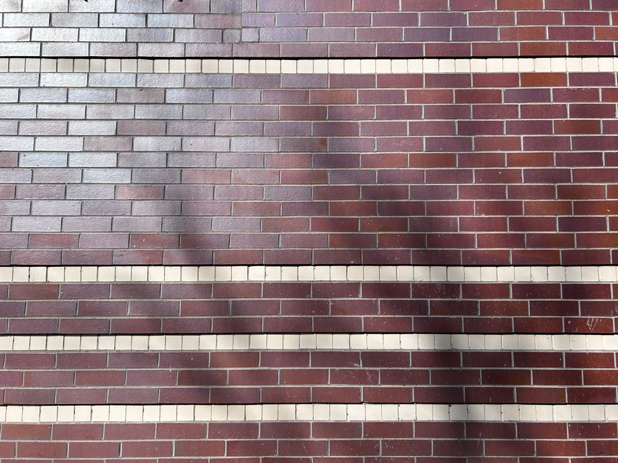 The Carmen March 2026 construction update