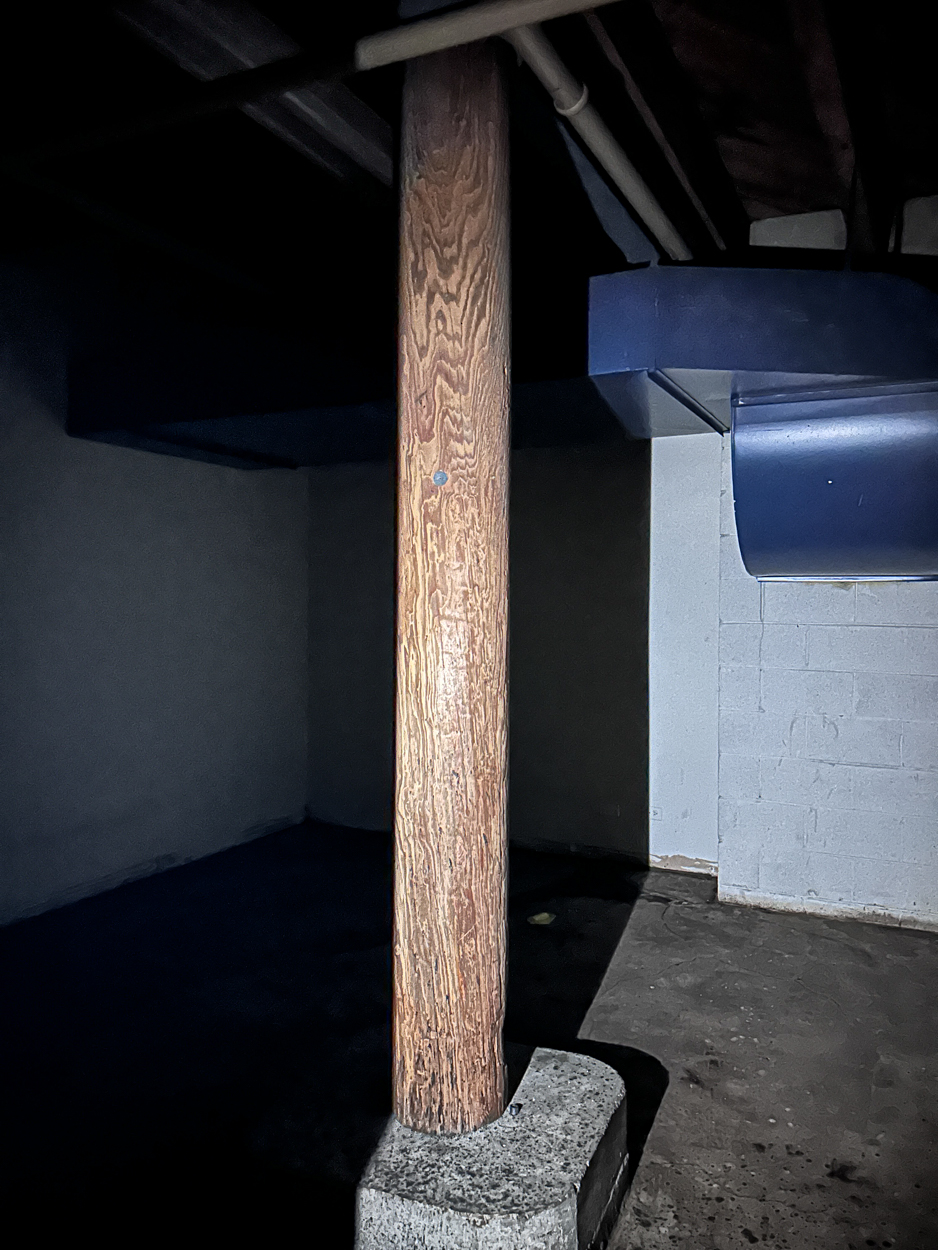 168 North Clinton Street pre-demolition walkthrough