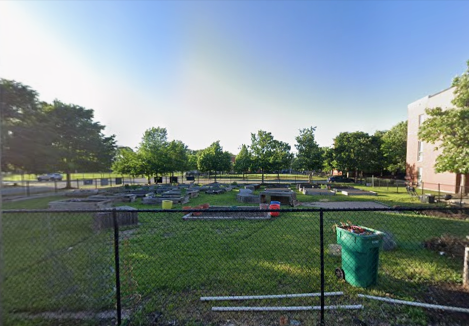West 44th Street Bronzeville two-flats permitted