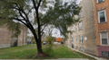 1124 South California Avenue three-flat permitted