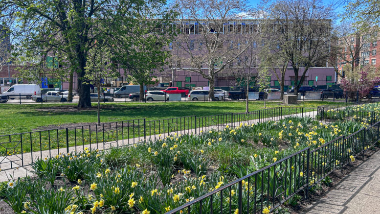 Tiny Giants Horner Park may 2026 construction progress