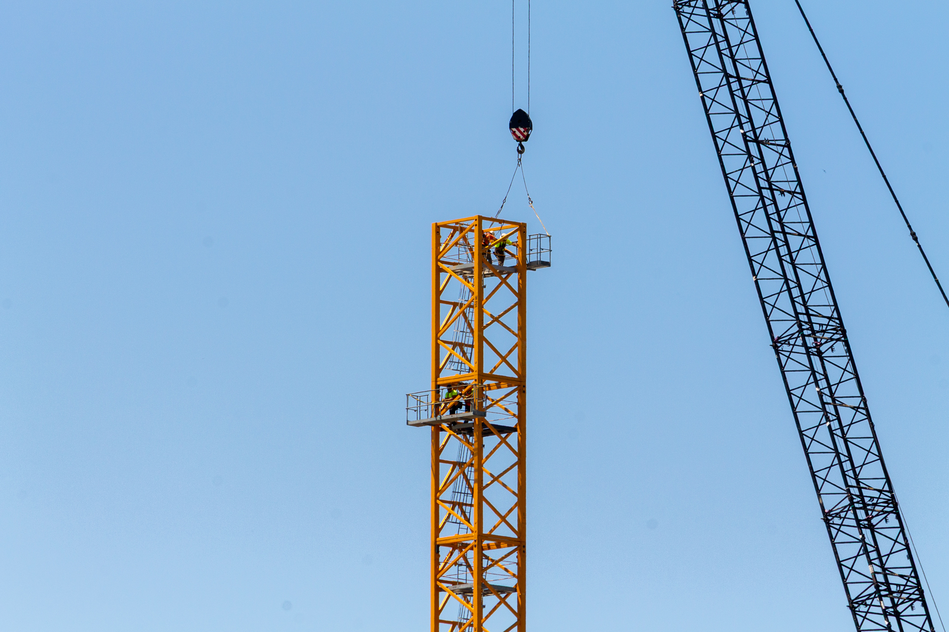Halsted Pointe tower crane assembly