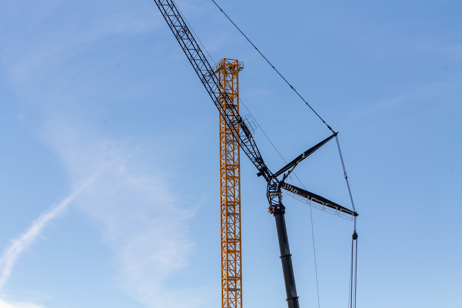 Halsted Pointe tower crane assembly