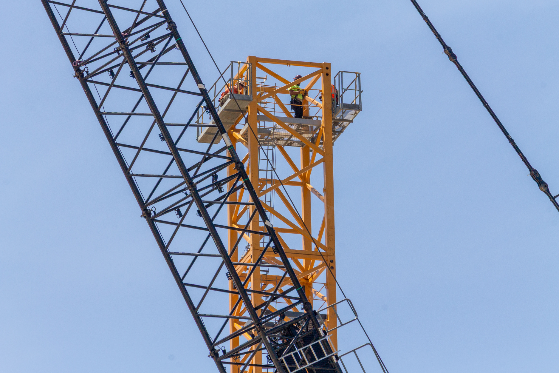 Halsted Pointe tower crane assembly
