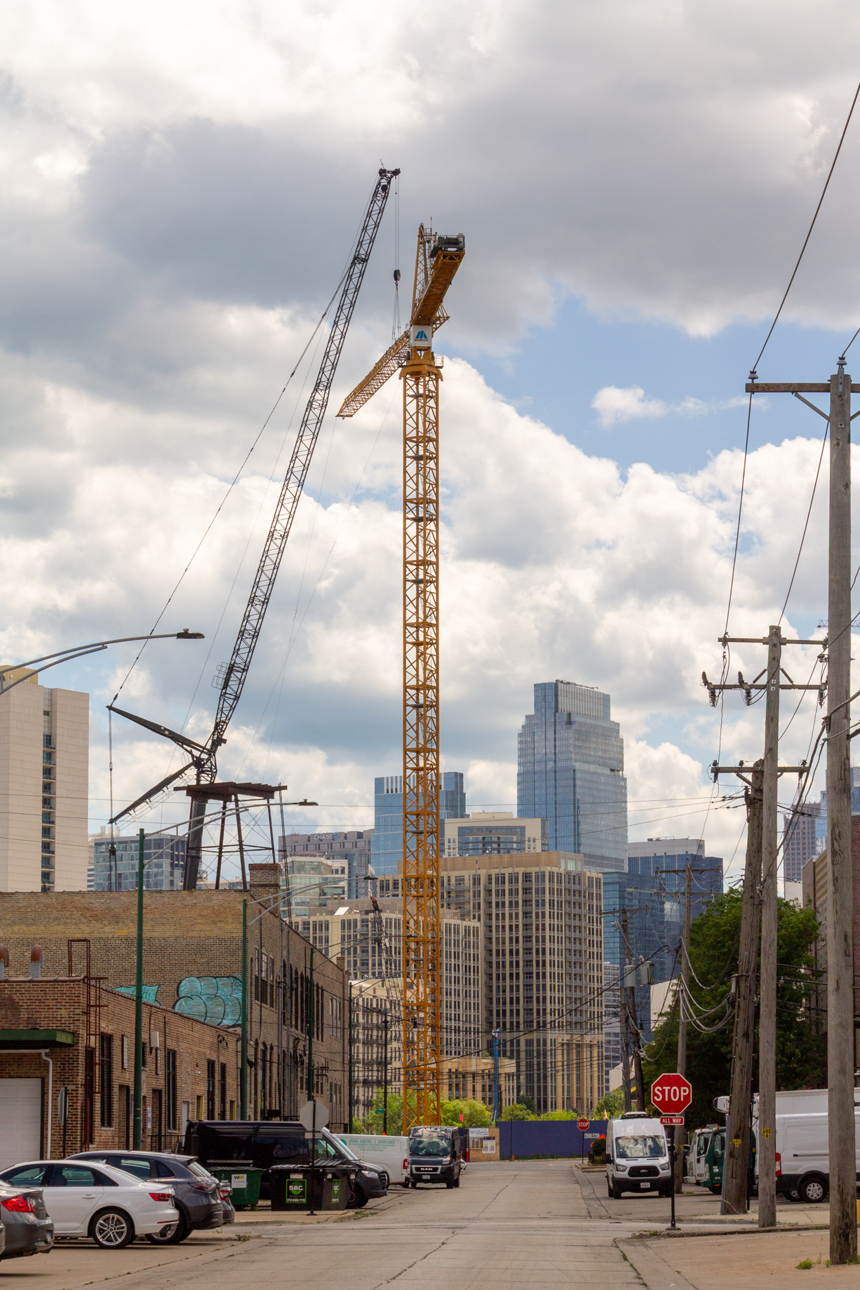 Halsted Pointe tower crane assembly