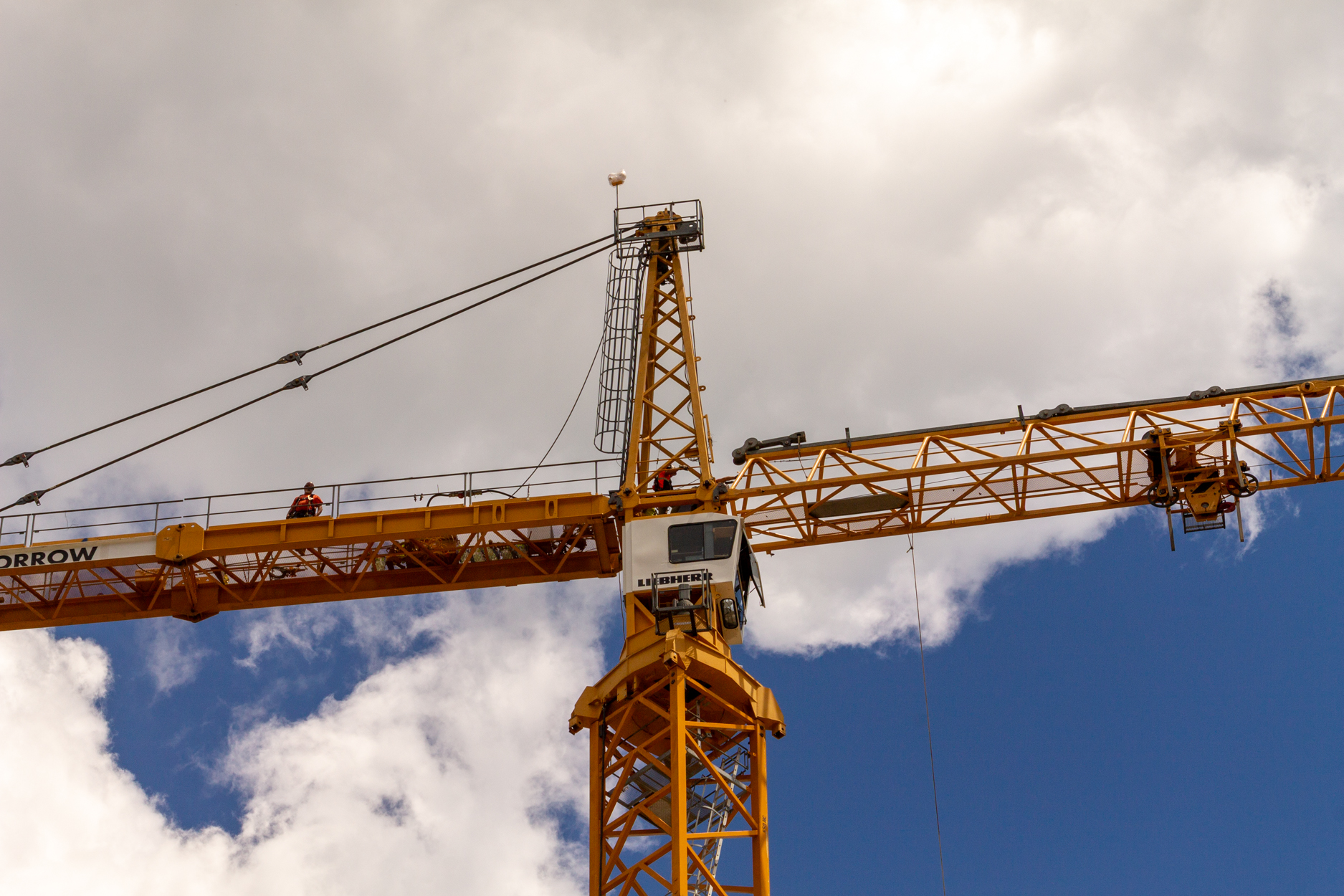 Halsted Pointe tower crane assembly
