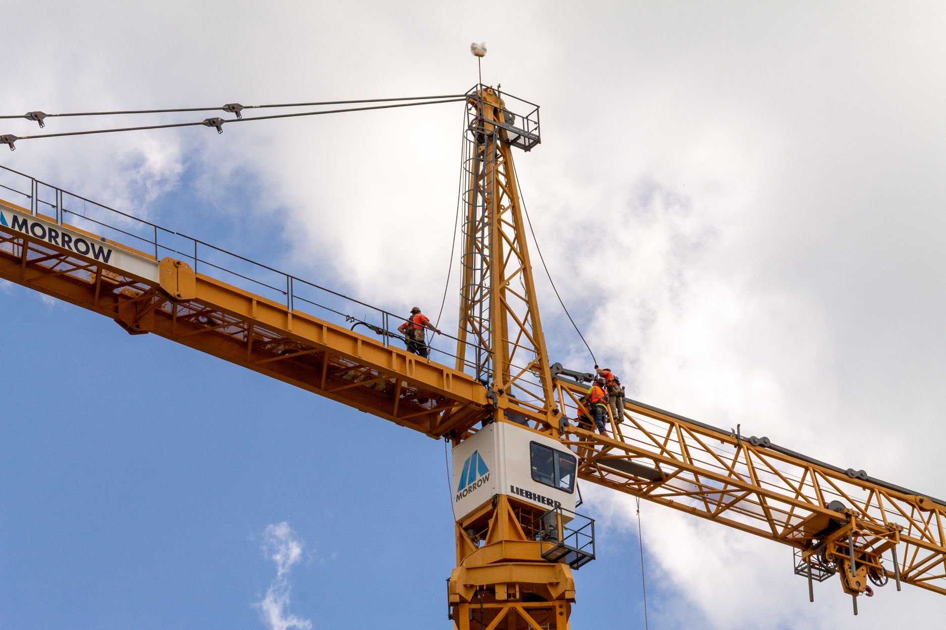 Halsted Pointe tower crane assembly