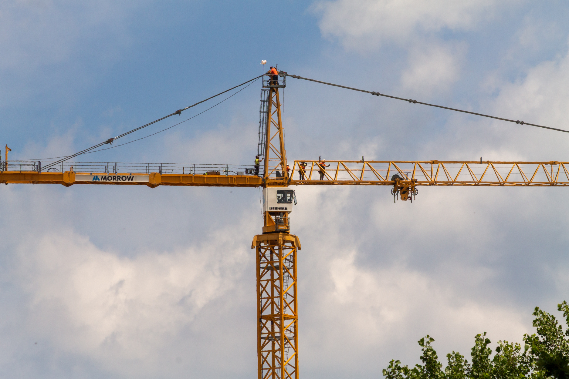Halsted Pointe tower crane assembly