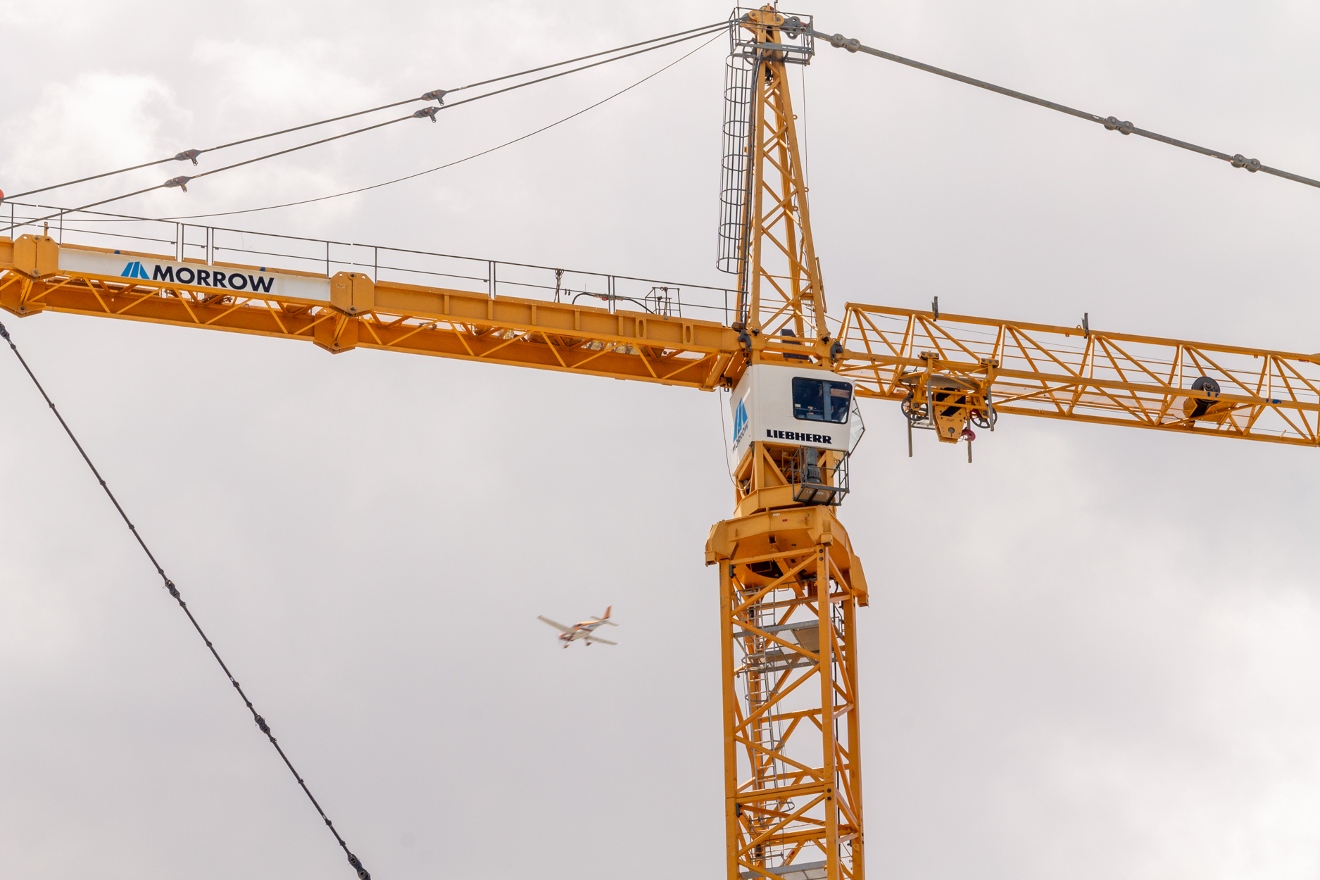 Halsted Pointe tower crane assembly