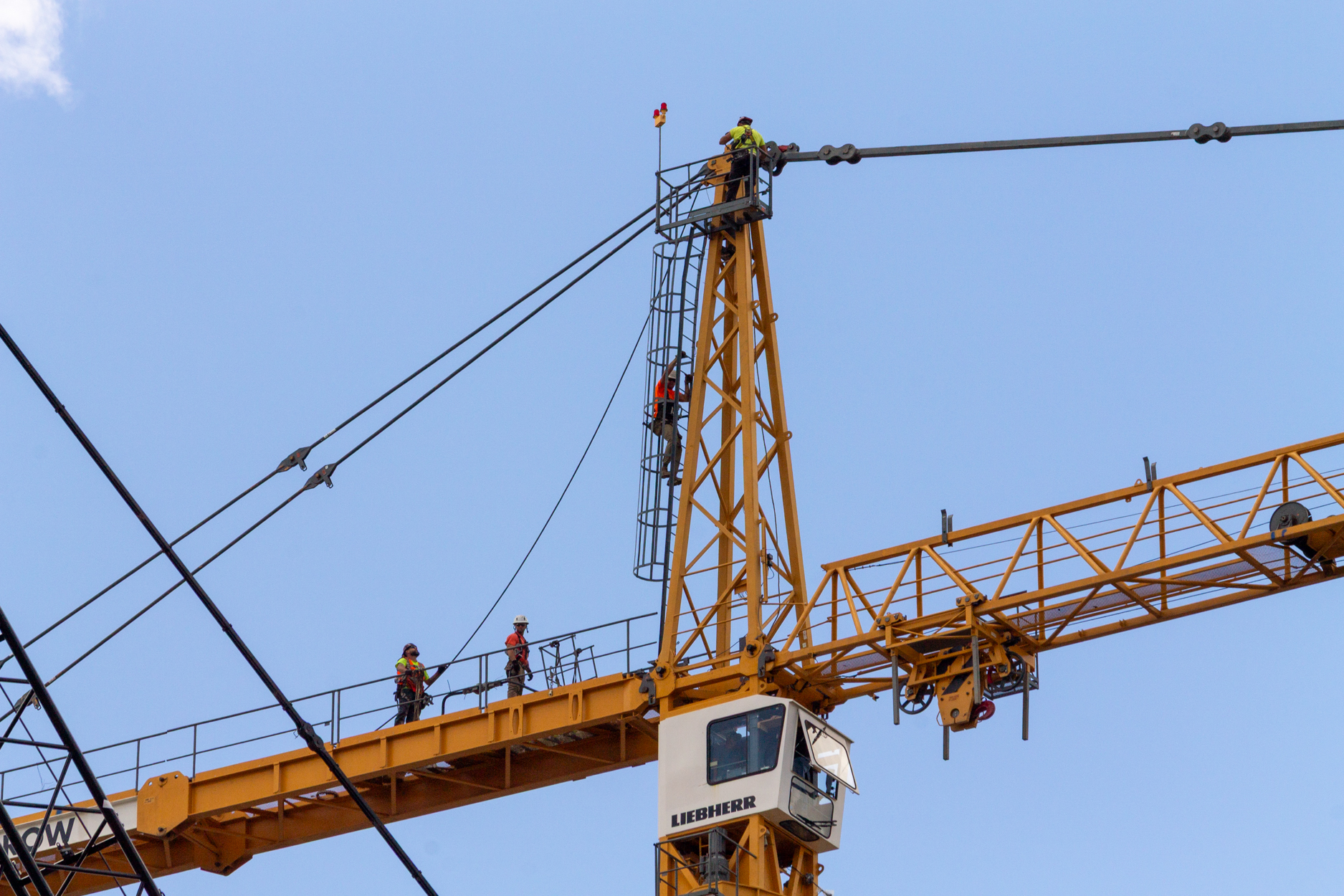 Halsted Pointe tower crane assembly