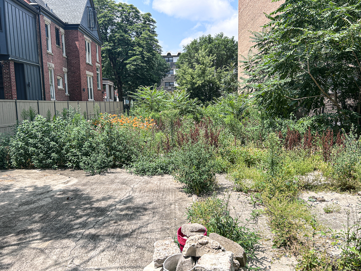 6027 North Kenmore Avenue construction permitted